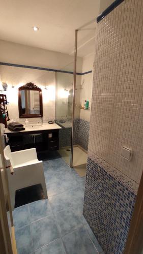 萨瓦德尔Casa MO的带淋浴、盥洗盆和镜子的浴室