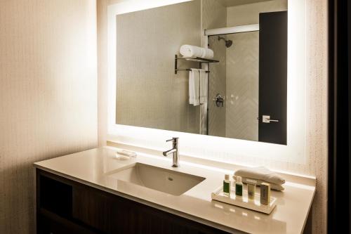 圣安娜圣安娜奥兰治郡机场假日酒店的一间带水槽和大镜子的浴室