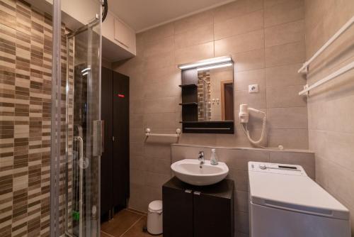 福纽德Balatoni Apartman的一间带水槽、卫生间和淋浴的浴室