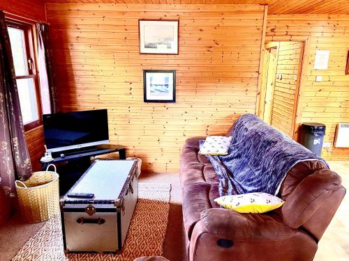 布雷马Braemar Lodge Cabins Not for profit的客厅配有真皮沙发和电视