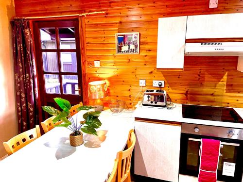 布雷马Braemar Lodge Cabins的厨房配有带炉灶和台面的桌子
