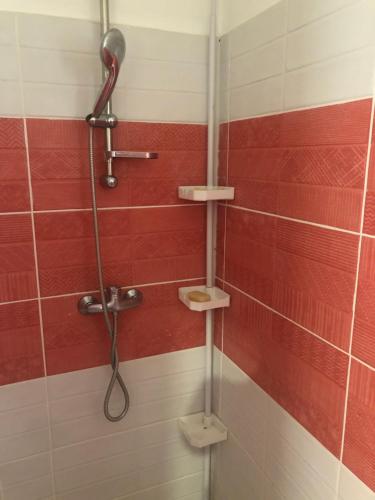 珀蒂堡Kaban‘ Malaka的浴室铺有红色和白色瓷砖,设有淋浴。