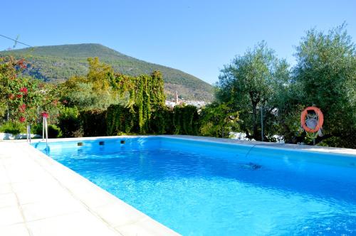 阿尔戈多纳莱斯EcoAlbergue Rural de Algodonales的一个大蓝色游泳池,背景是一座山