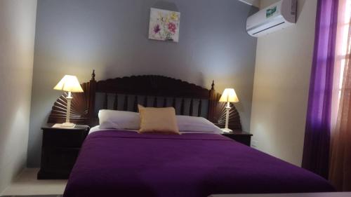 基督教堂市Michand Guest Apartment- Cozy one/two bedroom- 5 minutes from airport.的一间卧室配有一张带两盏灯的紫色床