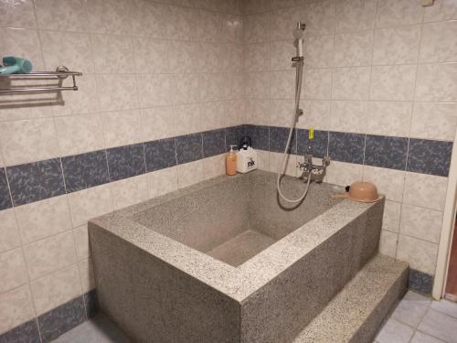 Wenquan九族飯店 臺東縣旅館004號的浴室设有浴缸和淋浴。