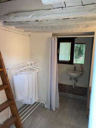 维科皮萨诺Bubble Room Under The Tuscan Stars Bubble的一间带水槽和毛巾架的浴室