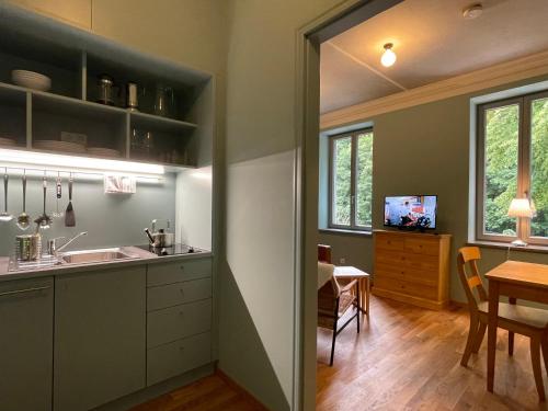 艾森纳赫Gästehaus Phantasie的一个带水槽的厨房和一间带桌子的用餐室