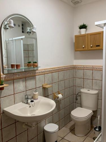 圣乌尔苏拉Vivienda vacacional Las Cañas的一间带水槽、卫生间和镜子的浴室