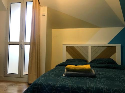 圣丹尼斯Singes de la sagesse的一间卧室设有一张床和一个大窗户