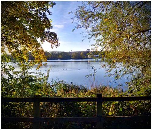 萨顿因阿什菲尔德Sutton House的享有木栅栏后面的湖景