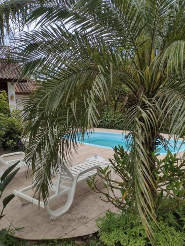 莫雷蒂斯Armazém do Porto, Chalé Azaléia的游泳池旁的两把椅子和一棵棕榈树