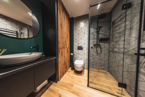 什切尔克CZARNA OWCA Apartament - SKRZYCZNE Residence的一间带水槽、卫生间和淋浴的浴室