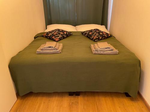 格拉茨Zentrum & Parkmöglichkeit Apartment的一张带两个枕头的绿色床和毛巾
