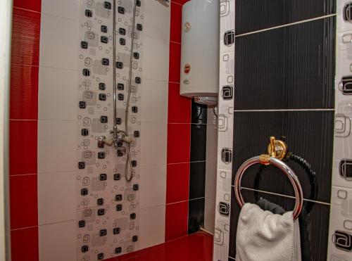 卢科维特Vilhelmov’s apartament的一间带白色淋浴帘的浴室