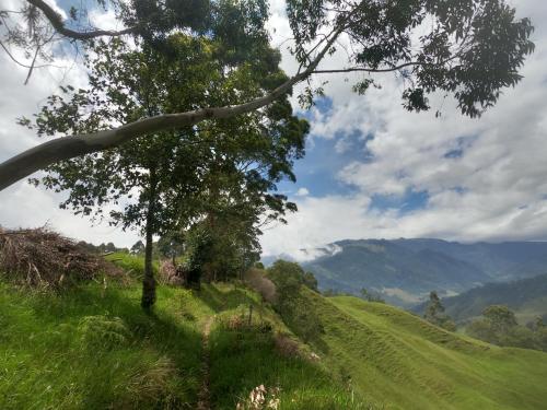 萨兰托玛塔托里马旅馆的相册照片