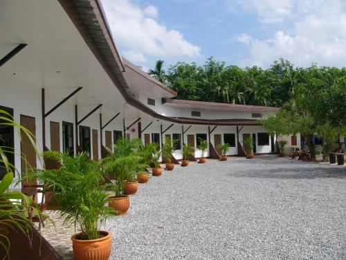 Thang Kwian凯文度假村 的建筑物内一排盆盆栽植物