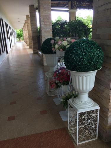 芭堤雅市中心phuriburi resort的一排满植物和花的白花瓶