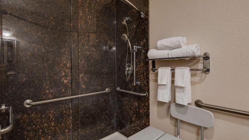 Piedmont格林维尔南贝斯特韦斯特酒店的带淋浴、卫生间和毛巾的浴室