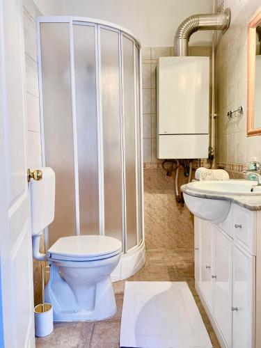 索普隆Fidelissima Apartman的浴室配有卫生间、淋浴和盥洗盆。