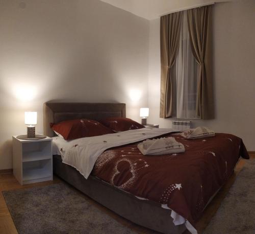 瓦列沃Apartman Davidović 31的一间卧室配有一张带两盏灯的床和一扇窗户。