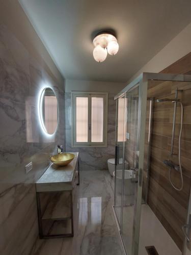 威尼斯Residenza Donini in Venice Suite 1的一间带水槽和淋浴的浴室
