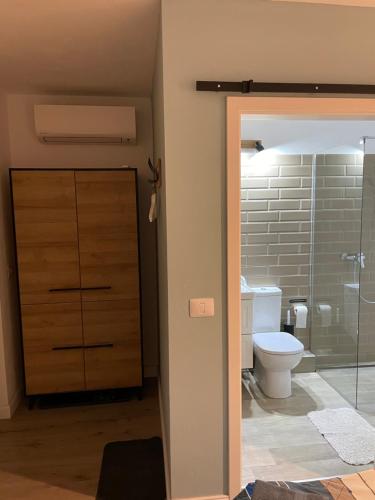 蒂米什瓦拉Maremi的一间带卫生间和玻璃淋浴间的浴室