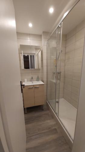 里蒙纽耶Menuires - Appart moderne 5 pers+Parking couvert的带淋浴和盥洗盆的浴室