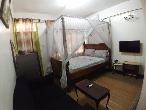 蒙巴萨SAFI Apartment的一间小卧室,配有一张带天蓬的床