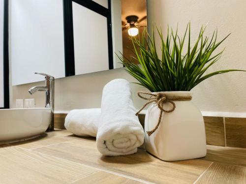 图卢姆Corazon de Tulum的浴室里备有毛巾和植物