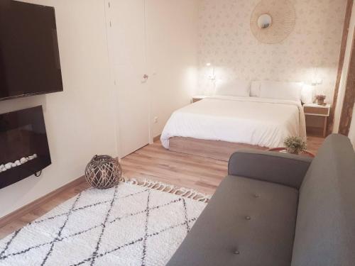桑坦德Precioso apartamento en el centro de Santander的一间卧室配有一张床、一台电视和一张沙发