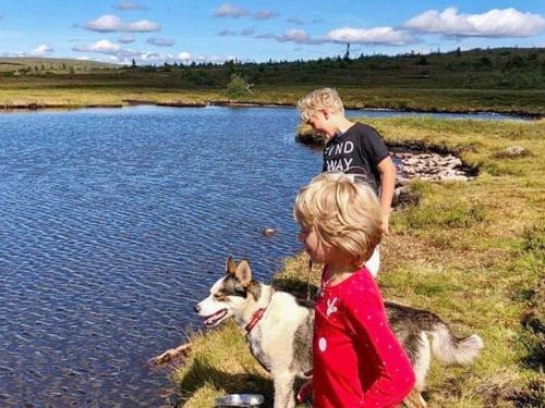 萨伦4 person holiday home in S LEN的池塘边的男孩和小孩及狗