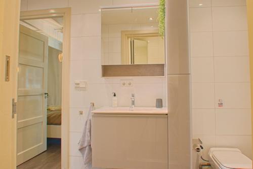 法尔肯斯瓦德Guesthouse Valkenswaard的一间带水槽、卫生间和镜子的浴室