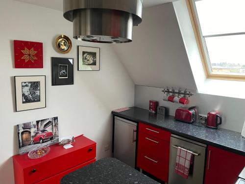 拉克韦雷Koidula Kodumajutus的一间厨房,配有红色橱柜和红色台面