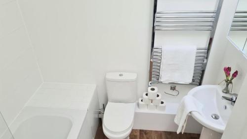 海布里奇Highbridge Inn的白色的浴室设有卫生间和水槽。