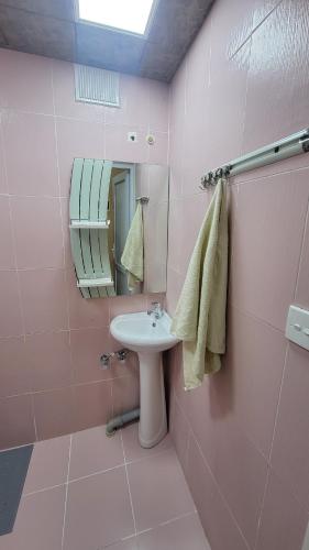 巴库LV Apartments的粉红色的浴室设有水槽和镜子