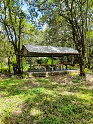 Sekenanileruk Maasai safari camp的树木繁茂的公园中的野餐棚