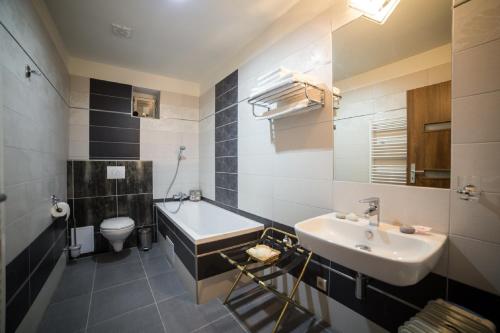 卡罗维发利紫水晶公寓酒店的一间带水槽和卫生间的浴室