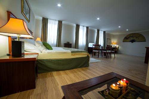 卡罗维发利紫水晶公寓酒店的酒店客房设有床和客厅。
