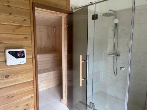 班斯科Villa Naya, Pirin Golf & Spa的步入式淋浴间和玻璃淋浴间