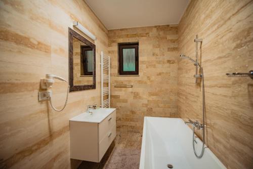 AnieşCasa Măiereană的浴室配有白色水槽和淋浴。