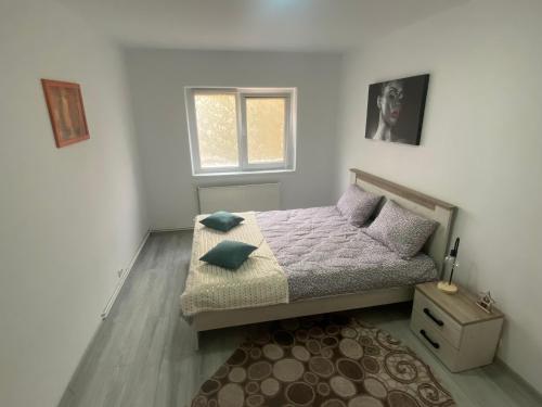布拉索夫APARTMENT DABIC Remote and Fun的一间卧室设有一张床和一个窗口