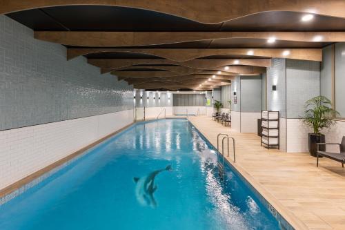 Meriton Suites Sussex Street, Sydney内部或周边的泳池