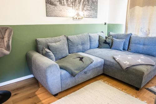 格英Apartment zu Hollenau的客厅配有带枕头的蓝色沙发