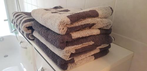 德累斯顿An den Elbwiesen的浴室毛巾架上一堆毛巾