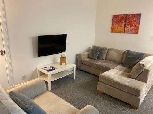 法夫Apartment 124的客厅配有2张沙发和1台平面电视