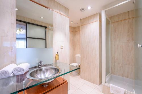 布鲁塞尔蒙哥马利B公寓式酒店的一间带水槽和淋浴的浴室