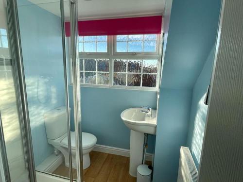 哈勒斯登Bullfinch House的蓝色的浴室设有卫生间和水槽