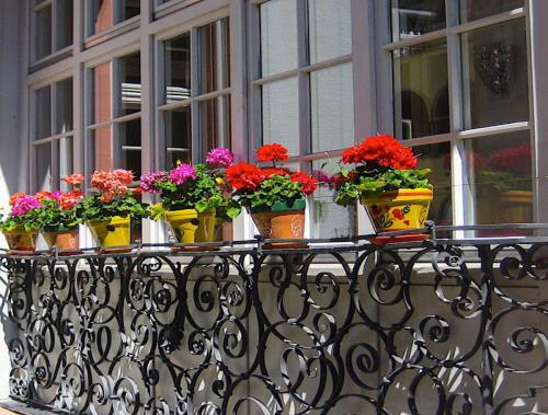 弗莱堡芭芭拉酒店的阳台上的一组盆栽花
