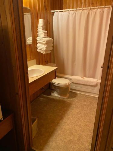 海恩斯章克申冰川景观酒店的浴室配有卫生间、盥洗盆和淋浴。