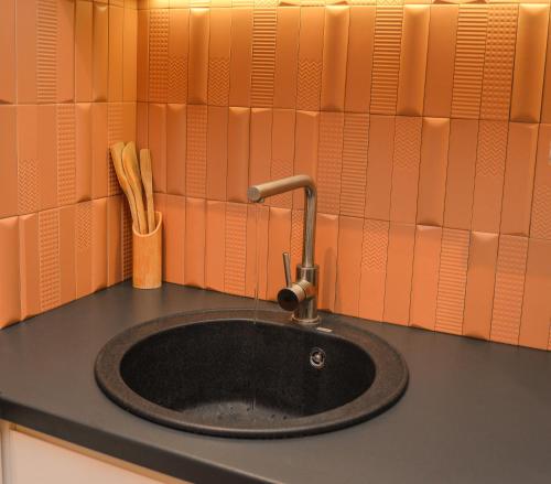 波德戈里察Design Apartment near Gorica Park的台面上带水龙头的盥洗盆
